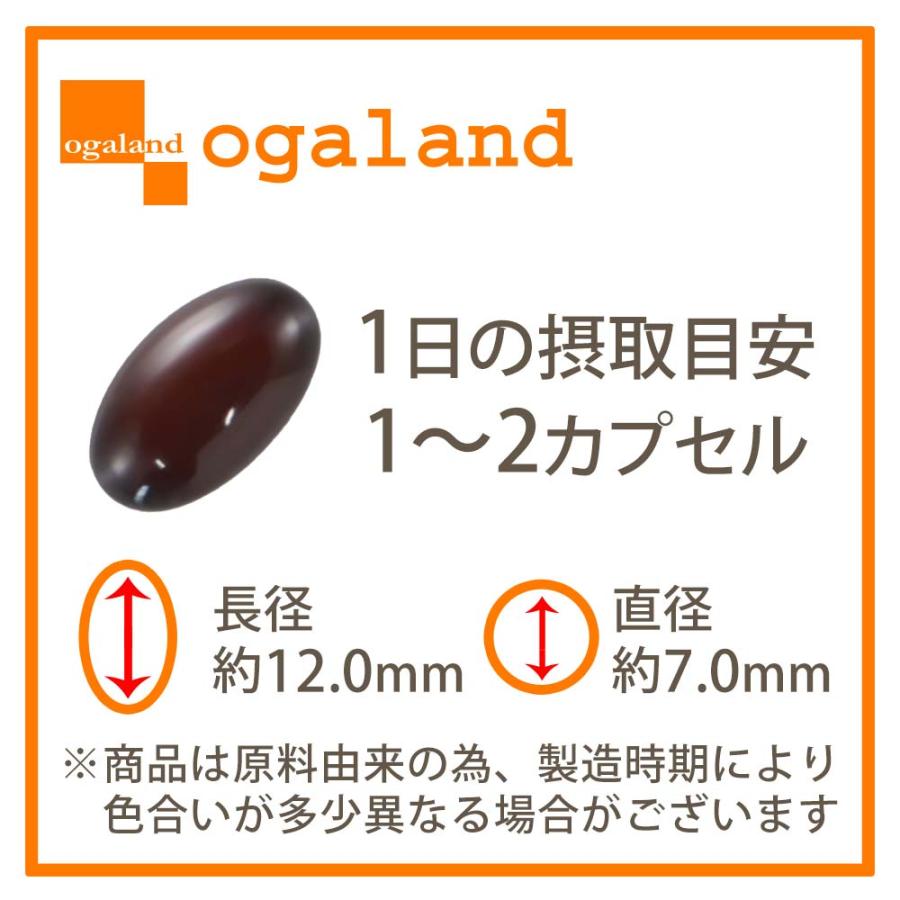 ヤツメウナギ （約1ヶ月分） サプリ サプリメント ビタミンA DHA 夜の運転が不安な方へ デスクワークが多い方に クコの実 PC スマホ ポイント利用 | ogaland | 14