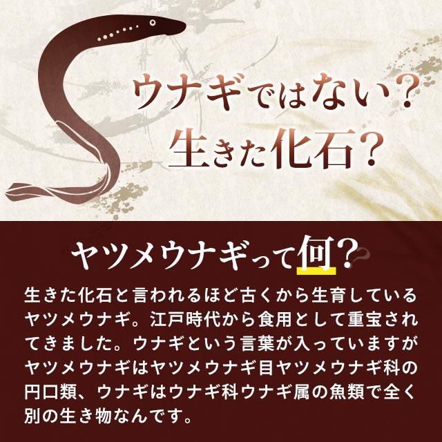 ヤツメウナギ （約1ヶ月分） サプリ サプリメント ビタミンA DHA 夜の運転が不安な方へ デスクワークが多い方に クコの実 PC スマホ ポイント利用 | ogaland | 06