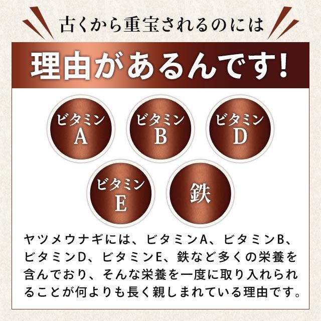 ヤツメウナギ （約1ヶ月分） サプリ サプリメント ビタミンA DHA 夜の運転が不安な方へ デスクワークが多い方に クコの実 PC スマホ ポイント利用 | ogaland | 07