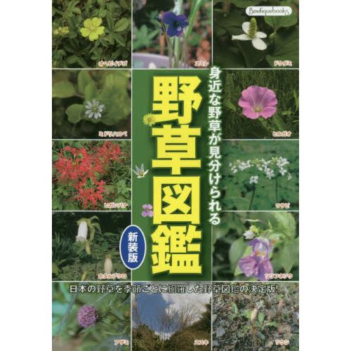 野草図鑑 身近な野草が見分けられる 日本の野草を季節ごとに網羅した野草図鑑の決定版 神戸 大垣書店オンライン 通販 Yahoo ショッピング