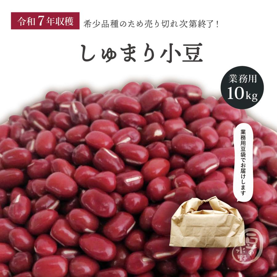 しゅまり小豆 10Kg 令和7年収穫 北海道産 【業務用】 朱鞠小豆 朱鞠 