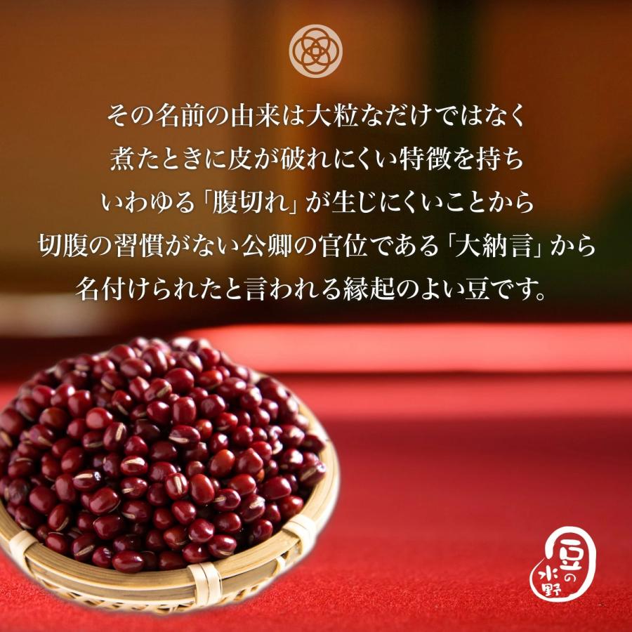 大納言小豆 10kg 令和7年収穫 北海道産 【業務用】 とよみ大納言 メガ