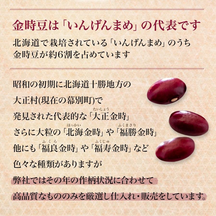 金時豆 10Kg 令和7年収穫 北海道産 【業務用】 大正金時 いんげん豆 