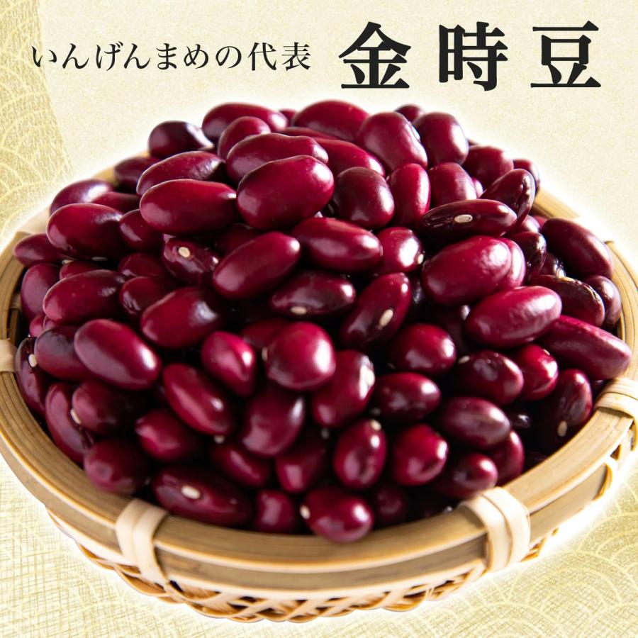 金時豆 10Kg 令和7年収穫 北海道産 【業務用】 大正金時 いんげん豆 