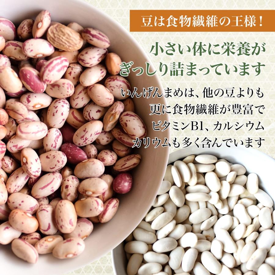 金時豆 10Kg 令和7年収穫 北海道産 【業務用】 大正金時 いんげん豆 