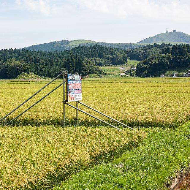 高桑ファーム 男鹿天然にがり栽培 あきたこまち「なまはげにがり米」1kg | ブランド登録なし | 04