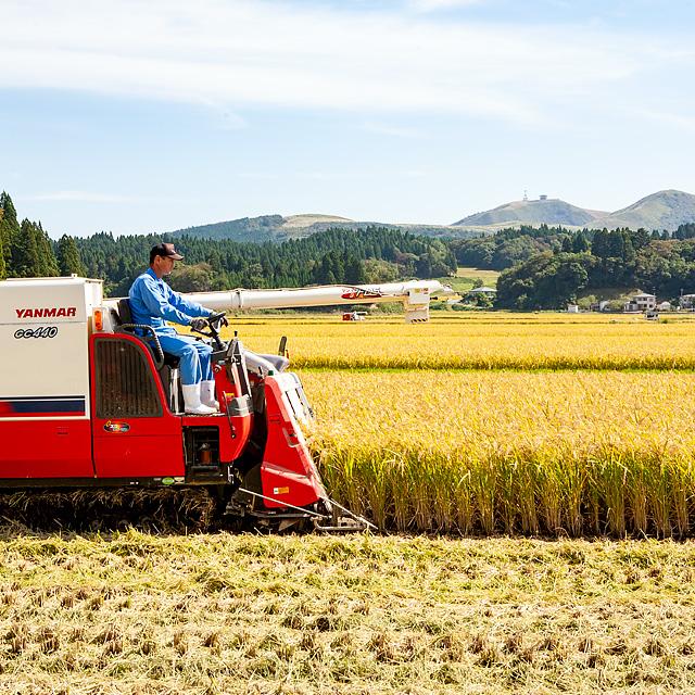 高桑ファーム 男鹿天然にがり栽培 あきたこまち「なまはげにがり米」1kg | ブランド登録なし | 05