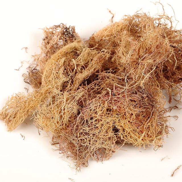 男鹿ぜん吉 干しいげし(いぎす・いげす) 10g | ブランド登録なし | 02