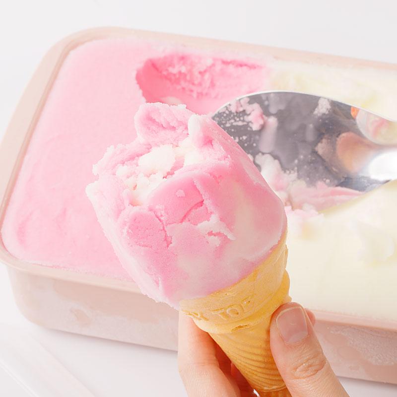 児玉冷菓 児玉冷菓のお試しババヘラアイスセット | ブランド登録なし | 01