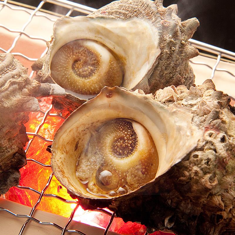 男鹿冷凍 【CAS冷凍】つぼ焼き用さざえ1kg(9〜12個入)(ボイル済み＆特製タレつき) | ブランド登録なし | 01