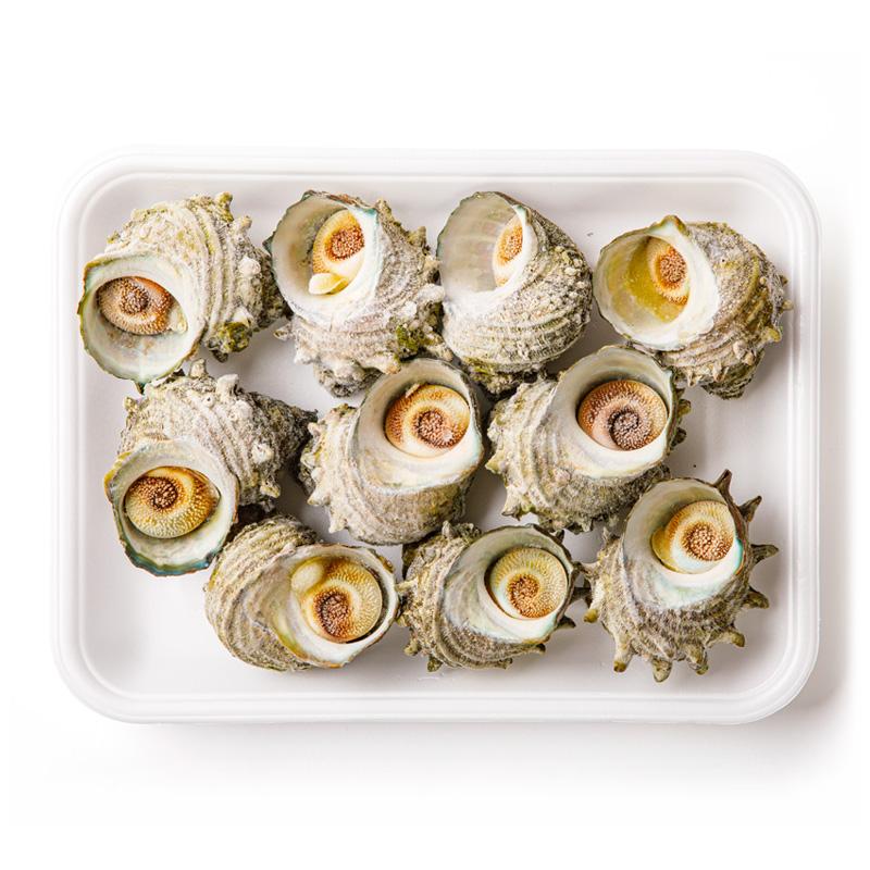 男鹿冷凍 【CAS冷凍】ボイルさざえ10kg(1kg×10)(中サイズ／1kgあたり9〜12個入)【業務用】 | ブランド登録なし