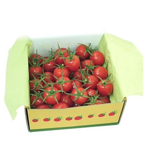 小笠原ミニトマト 850g : 小笠原産直市場 - 通販 - Yahoo!ショッピング