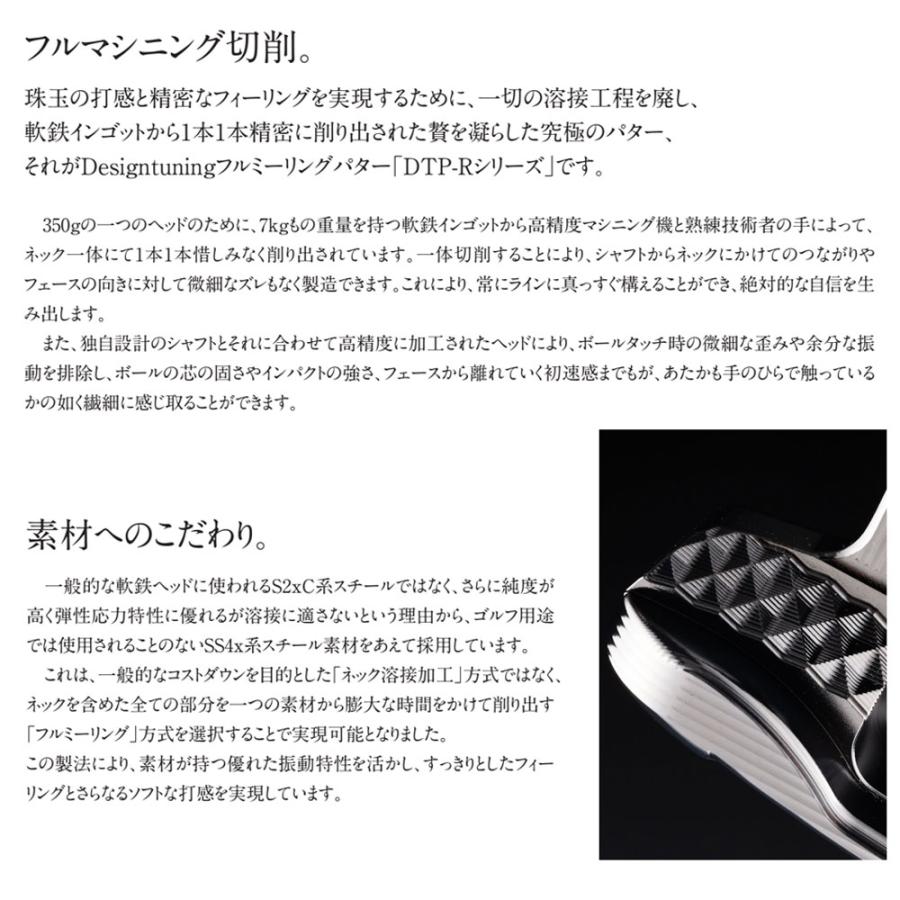 Design Tuning デザインチューニング DTP-R01 パター 完成品