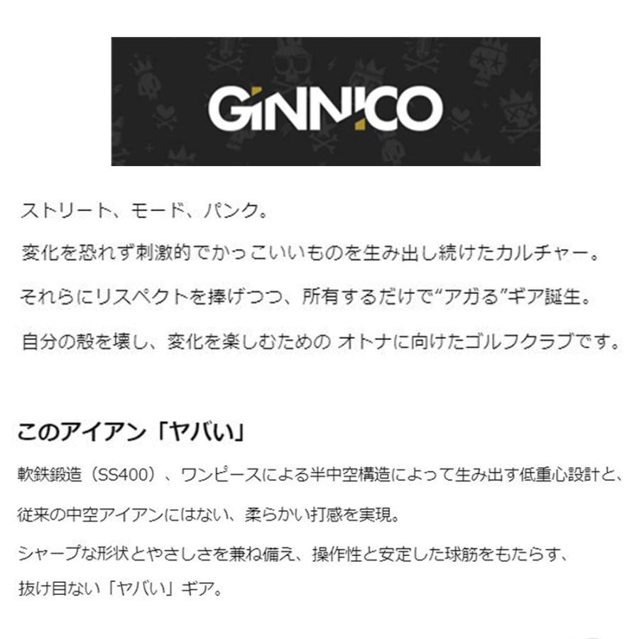 イオンスポーツ GINNICO CB+ アイアンセット #6-#PW 5本 N.S.PRO 950GH NEO 装着モデル 右利き メーカー組み立ての画像