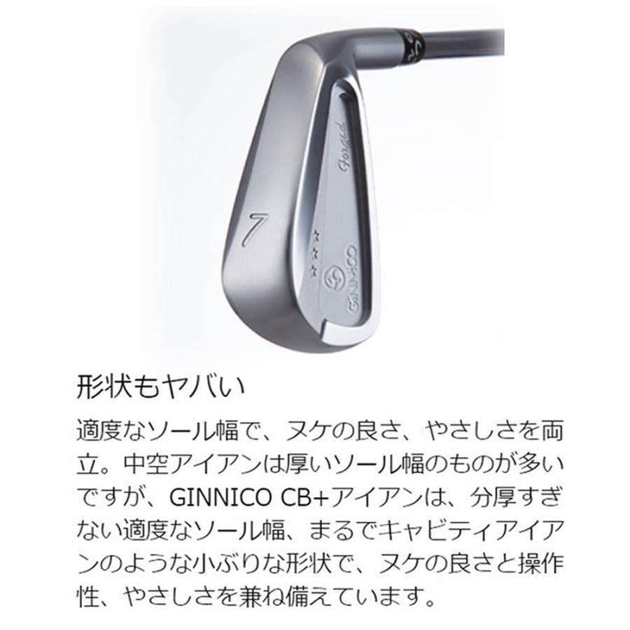 イオンスポーツ GINNICO CB+ アイアンセット #6-#PW 5本 N.S.PRO 950GH NEO 装着モデル 右利き メーカー組み立ての画像