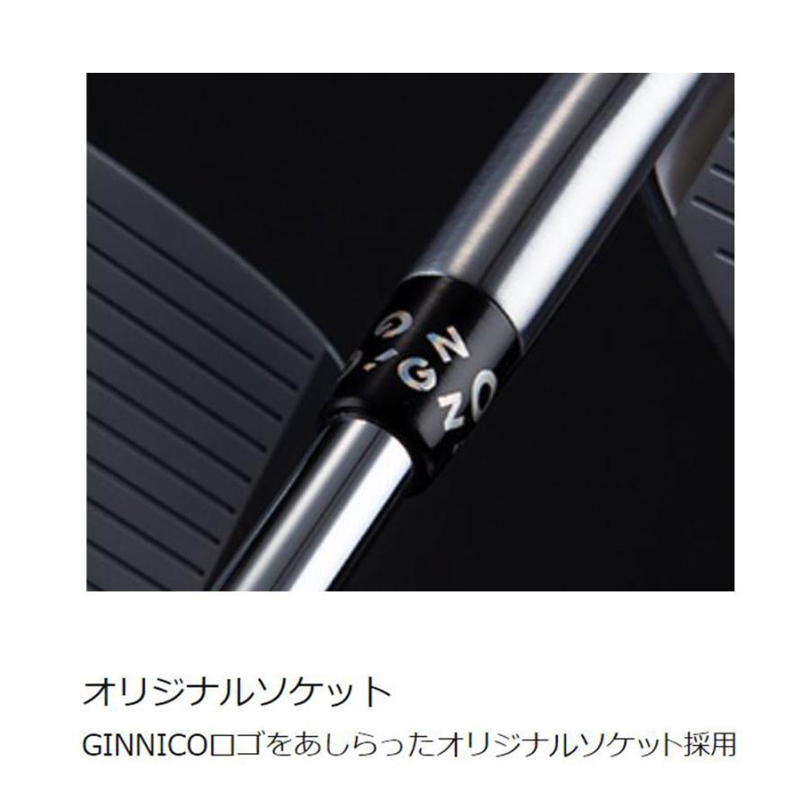 イオンスポーツ GINNICO CB+ アイアンセット #6-#PW 5本 N.S.PRO 950GH NEO 装着モデル 右利き メーカー組み立ての画像