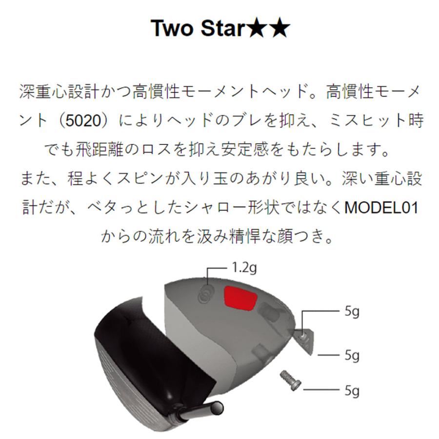 新品 イオンスポーツ ジニコ モデル02C 2スター ドライバー ヘッド GINNICO イオンスポーツ ジニコ モデル02C ドライバー ワンスター