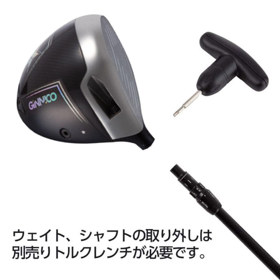 GINNICO イオンスポーツ ジニコ モデル02C ドライバー ワンスター