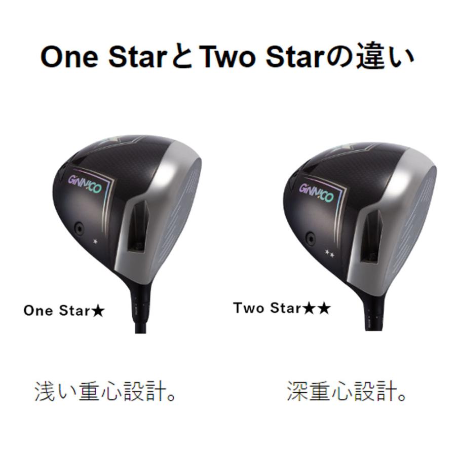 GINNICO イオンスポーツ ジニコ モデル02C ドライバー ワンスター