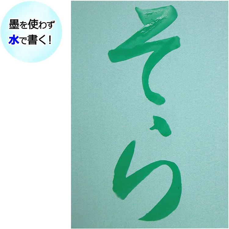 呉竹 書道セット 水でかんたん お習字 セット KN37-50 : 印鑑