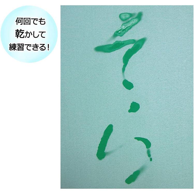 呉竹 書道セット 水でかんたん お習字 セット KN37-50 : 印鑑