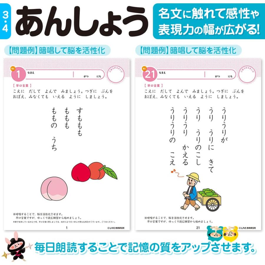 シルバーバック 知育玩具のシルバーバック【 七田式 知力 ドリル