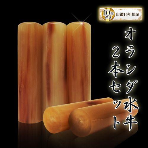 印鑑 銀行印 実印 セット オランダ水牛 いんかん 判子 はんこ ハンコ