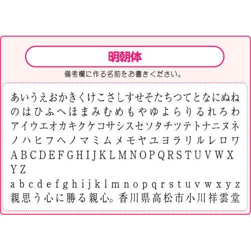 シヤチハタ（Shachihata） お名前スタンプ お名前はんこ 氏名印 単品3L