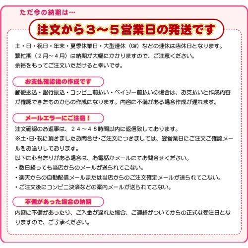 お名前はんこ お名前スタンプ 学校で習う文字使用 キューティーネームスタンプ 単品 印鑑 シヤチハタ小川祥雲堂 通販 Yahoo ショッピング
