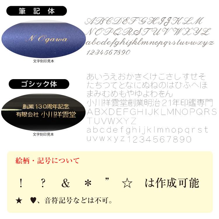 シヤチハタ（Shachihata） 名入れ無料 シャチハタ Vivo ヴィーボ