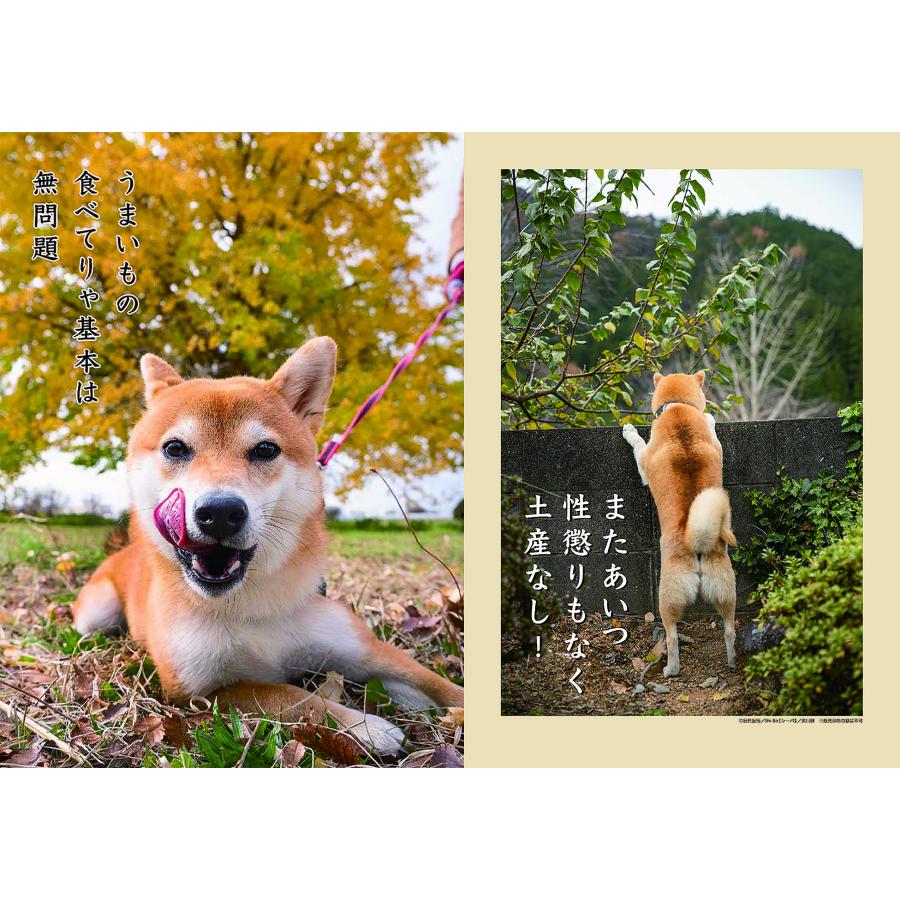 犬川柳 23年 カレンダー 犬川柳 月めくり 印鑑 シヤチハタ小川祥雲堂 通販 Yahoo ショッピング