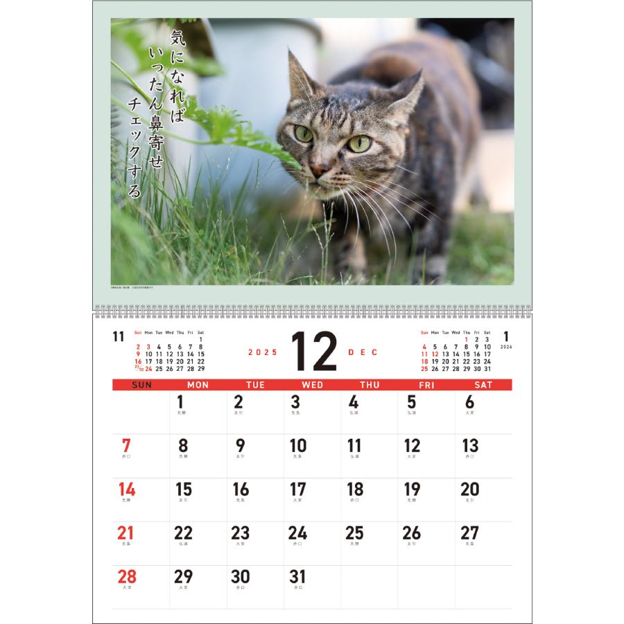アートプリントジャパン 2026年【 月めくり/猫川柳 】猫川柳カレンダー
