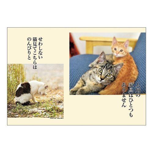 年 カレンダー 猫川柳 月めくり 印鑑 シヤチハタ小川祥雲堂 通販 Yahoo ショッピング