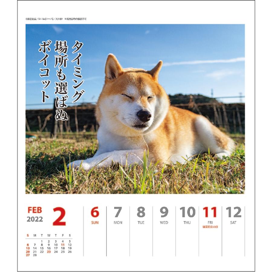 9月発送開始 23年 カレンダー 犬川柳 週めくり 028 犬川柳 週めくり 印鑑 シヤチハタ小川祥雲堂 通販 Yahoo ショッピング