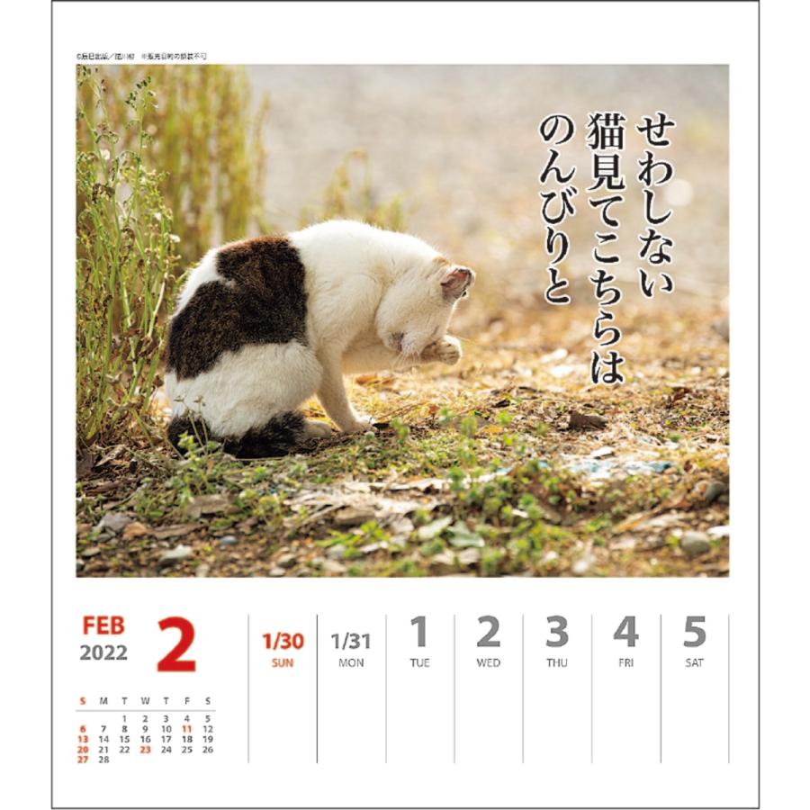 006 猫川柳 週めくり 壁掛け 卓上 カレンダー 22 猫川柳 週めくり スケジュール ねこ Apj 動物写真 書き込み インテリア 令和4年 印鑑 シヤチハタ小川祥雲堂 通販 Yahoo ショッピング