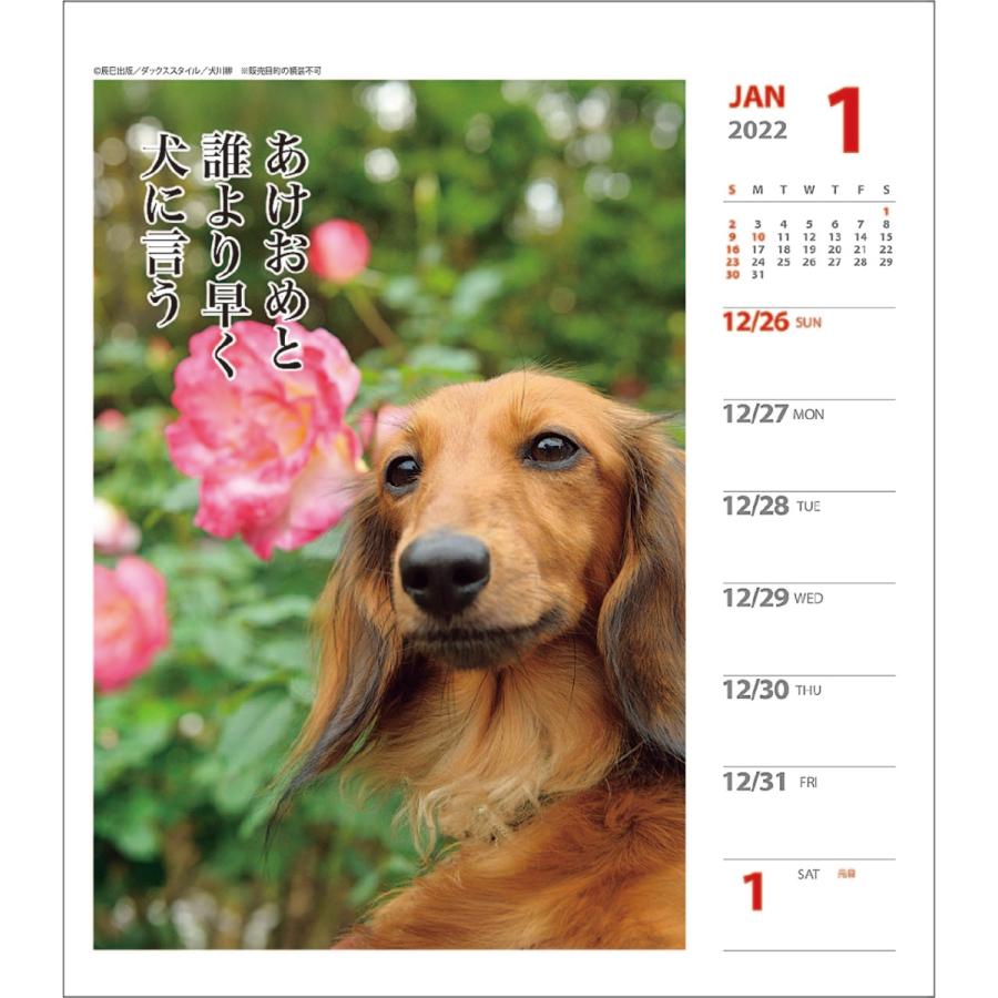壁掛け 卓上 22カレンダー ダックス犬川柳 週めくり スケジュール いぬ Apj Vol 007 9月より発送開始 印鑑 シヤチハタ小川祥雲堂 通販 Yahoo ショッピング