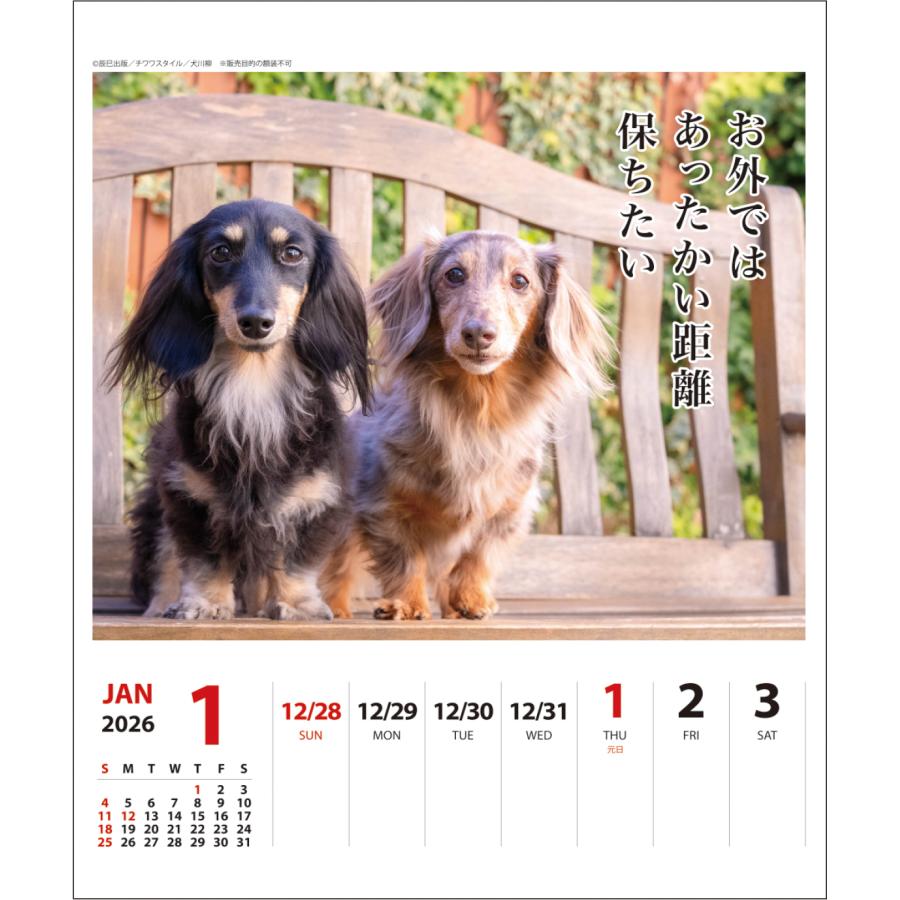 2026年 ダックス犬川柳 （週めくり）卓上 カレンダー スケジュール