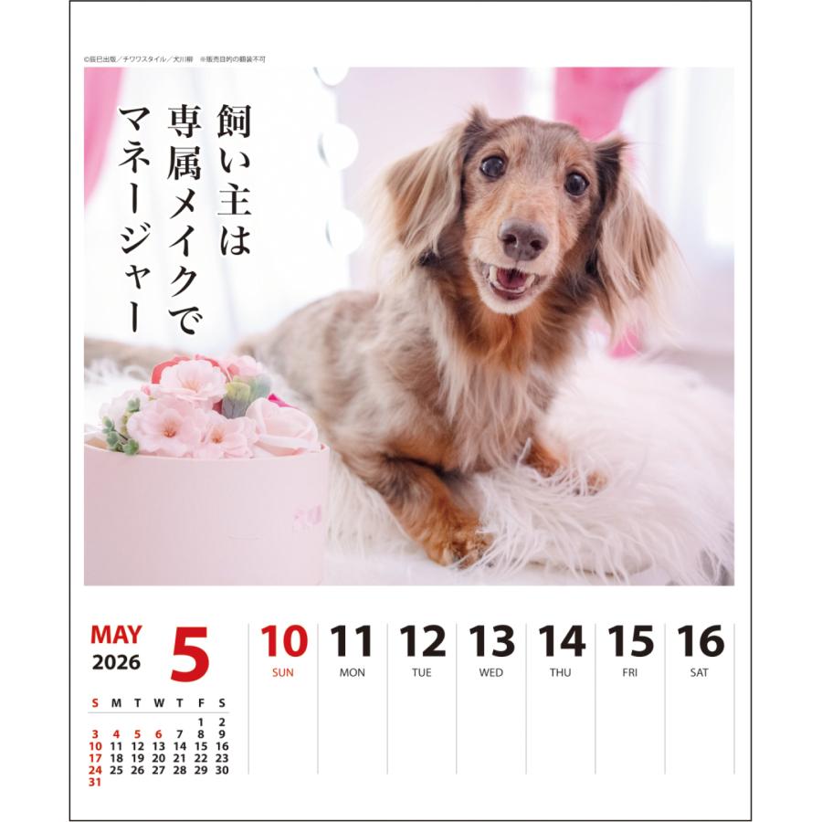 2026年 ダックス犬川柳 （週めくり）卓上 カレンダー スケジュール