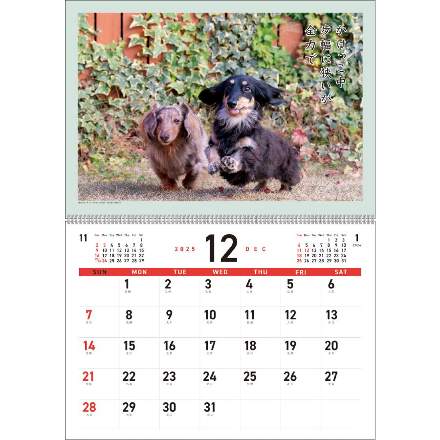 アートプリントジャパン 2026年【 月めくり / ダックス犬川柳