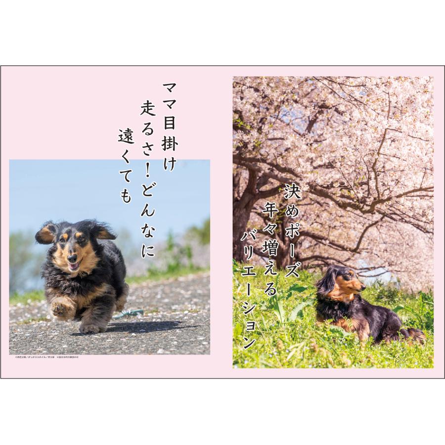 アートプリントジャパン 2026年【 月めくり / ダックス犬川柳