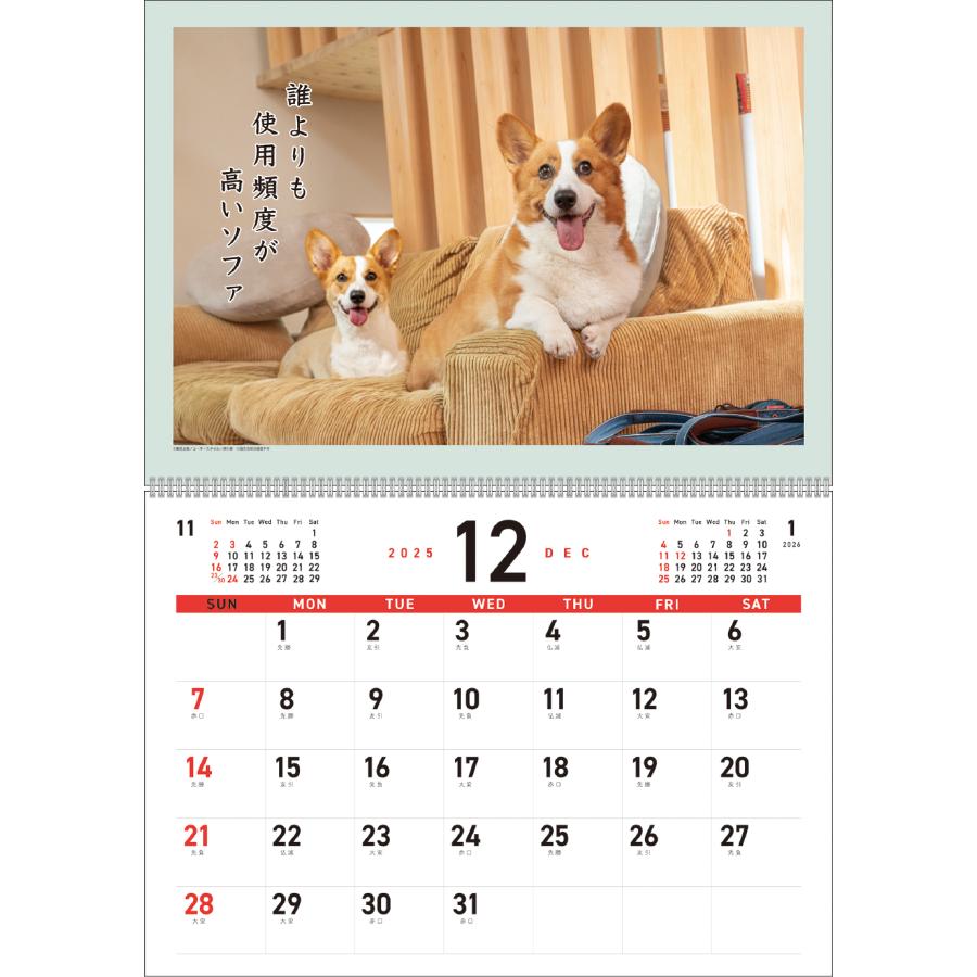 コーギーの壁掛け アートプリントジャパン 2026年【 月めくり / コーギー犬川柳