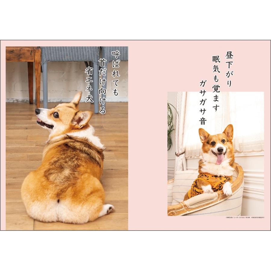 アートプリントジャパン 2026年【 月めくり / コーギー犬川柳