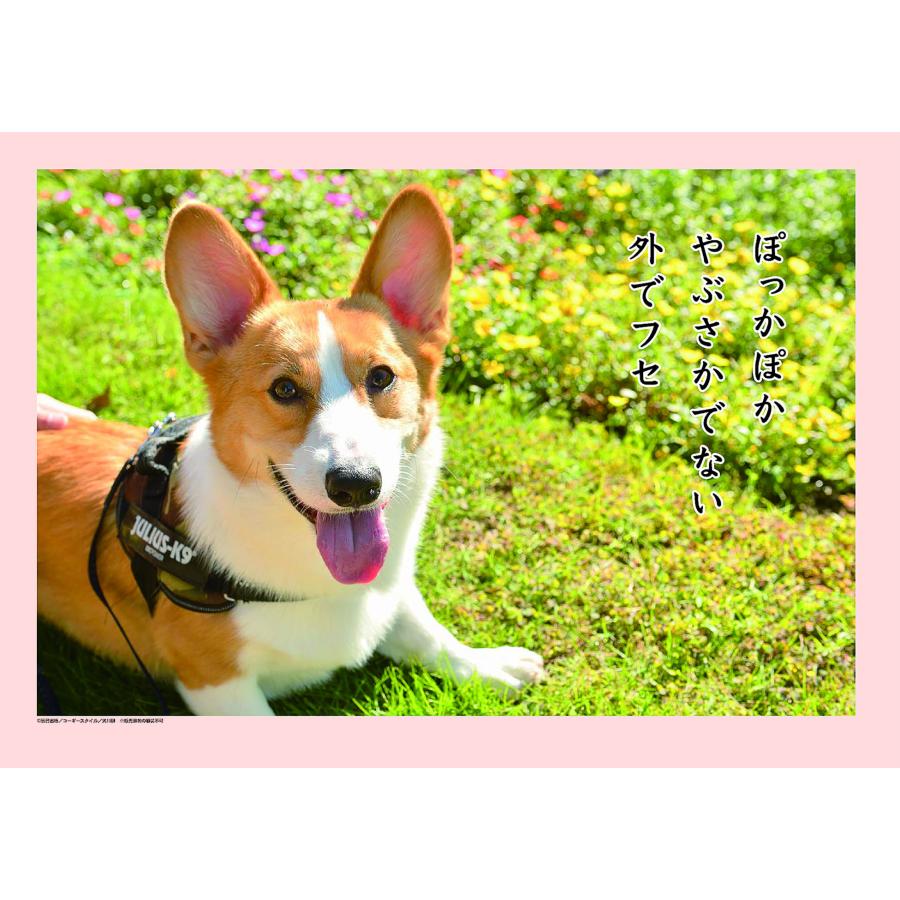 コーギー川柳 23年 カレンダー 犬川柳 コーギー川柳 月めくり 印鑑 シヤチハタ小川祥雲堂 通販 Yahoo ショッピング