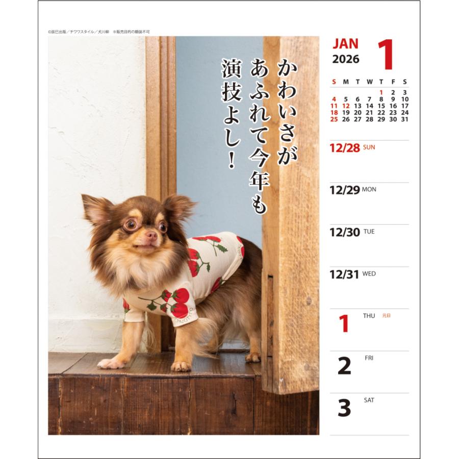 2026年 チワワ川柳(週めくり)カレンダー 25CL/025 : 印鑑