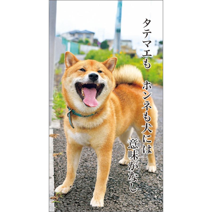 卓上 カレンダー 22犬川柳 スケジュール いぬ Apj 動物写真 書き込み No12 印鑑 シヤチハタ小川祥雲堂 通販 Yahoo ショッピング