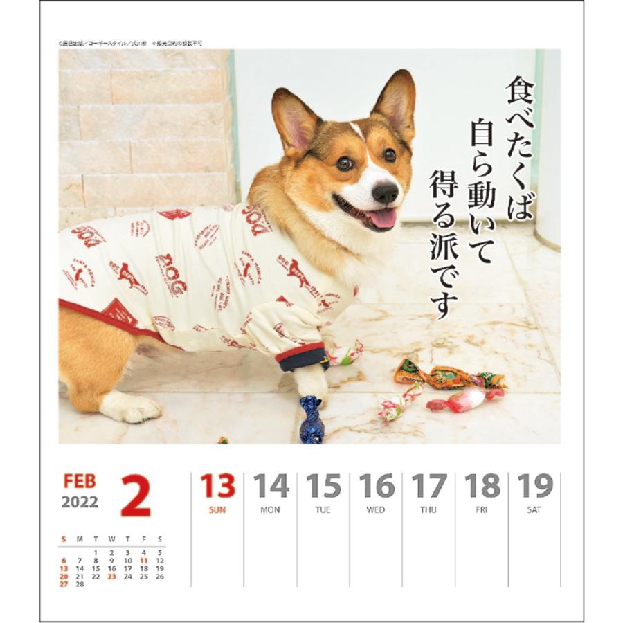予約販売 2023年 コーギー川柳(週めくり)カレンダー 1000123653 vol.033 :10008370:印鑑・シヤチハタ小川祥雲堂 - 通販 - Yahoo!ショッピング 予約販売 2023年 コーギー川柳(週めくり)カレンダー 1000123653 vol.033 :10008370:印鑑・シヤチハタ小川祥雲堂 - 通販 - Yahoo!ショッピング