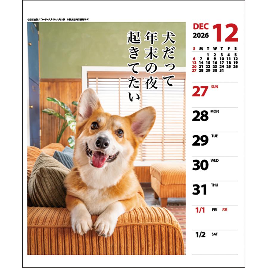 アートプリントジャパン 2026年 コーギー川柳(週めくり)カレンダー