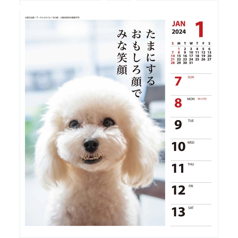 2024年 プードル川柳 週めくり カレンダー  vol.011｜ogawahan｜02
