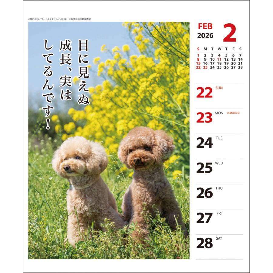 2026年 プードル川柳(週めくり)カレンダー 27CL/027 : 印鑑