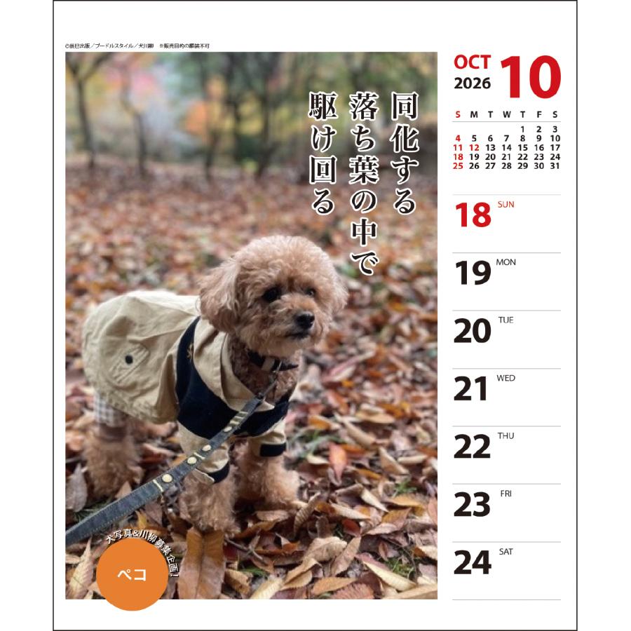 2026年 プードル川柳(週めくり)カレンダー 27CL/027 : 印鑑